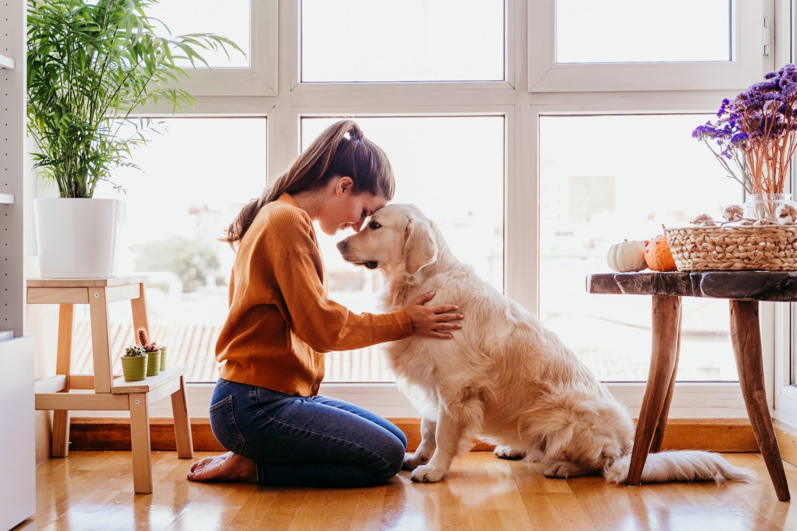 beautiful woman hugging adorable golden retriever dog at home. love for animals concept. lifestyle
