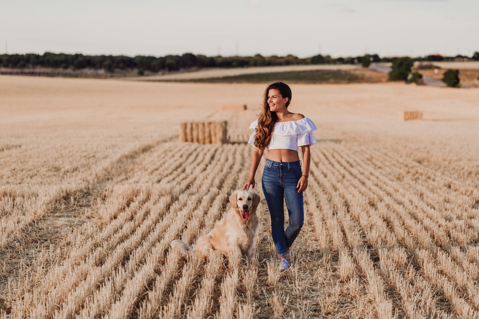 woman with golden retriever dog on yellow field at sunset. Nature and lifestyle outdoors